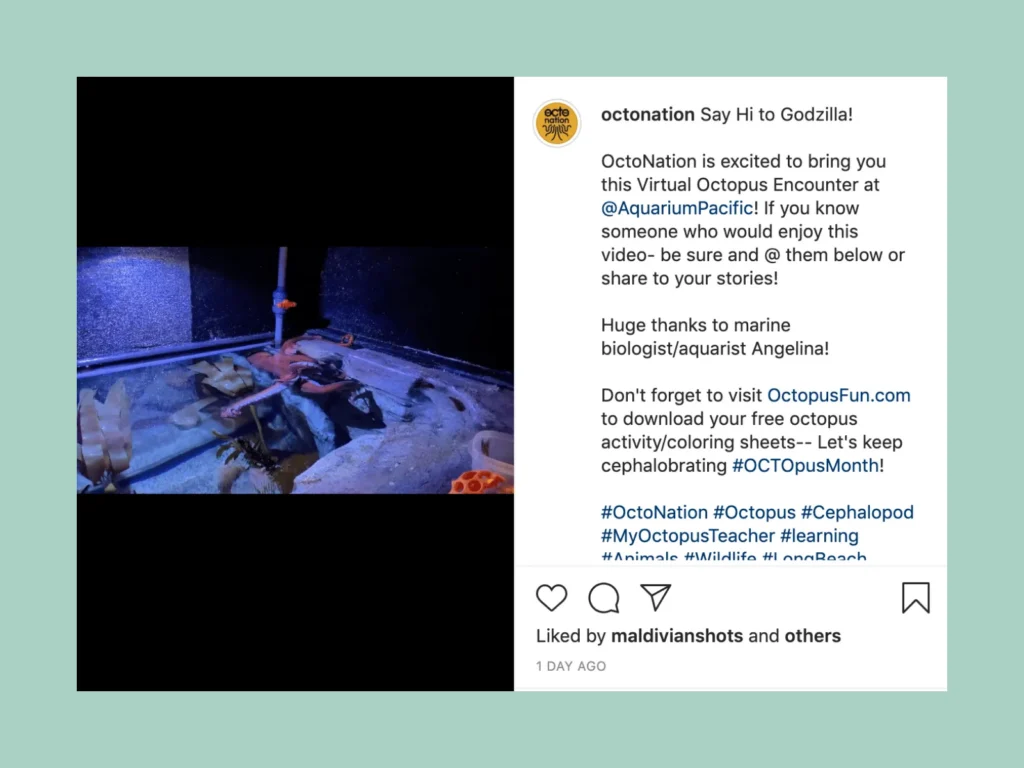 OctoNation's Instagram post sharing an octopus video from the Aquarium of the Pacific, with @AquariumPacific tagged in the caption